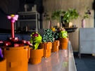 Nabewerkte rawfoto's in weinig licht