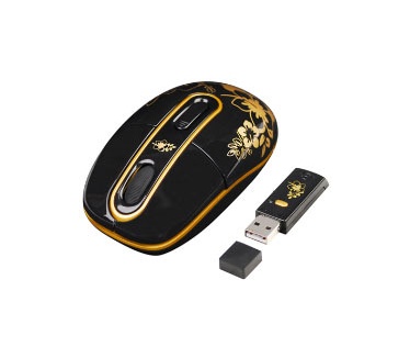 G-Cube Golden Sunset (GRKSA-610SS)