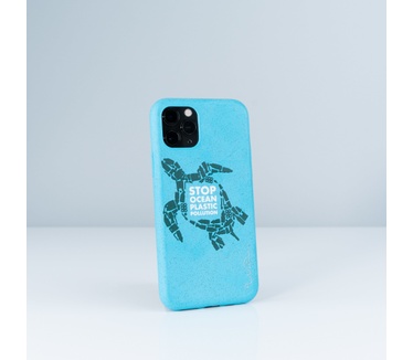Wilma Turtle