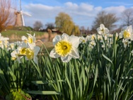 Xiaomi 17 Cameratest - Primair (overdag)