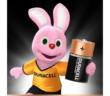 Duracell Plus Power alkaline D-batterijen, verpakking van 2