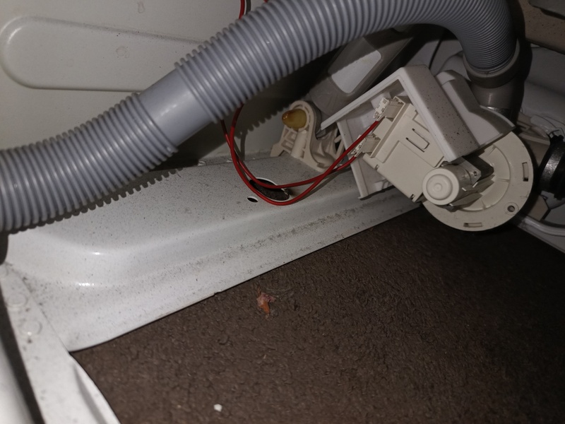 Afbeeldingslocatie: https://tweakers.net/i/akW0_ohiHCaf0cXfqugiK1mhKHE=/800x/filters:strip_icc():strip_exif()/f/image/HXe5F2yqiDRfnNMpe4Z4sXEw.jpg?f=fotoalbum_large