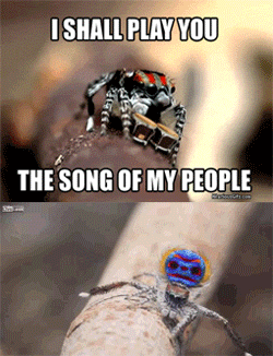 Afbeeldingslocatie: https://tweakers.net/i/alXJ8jQCtKQBuxpCiF_dcB9sZ70=/full-fit-in/4000x4000/filters:no_upscale():fill(white):gifsicle():strip_exif()/f/image/VQH3DQQejVhwjoIUtWhWDLrx.gif?f=user_large