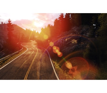 Project Cars: Game of the Year Edition, Windows
