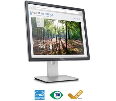Dell P1914S