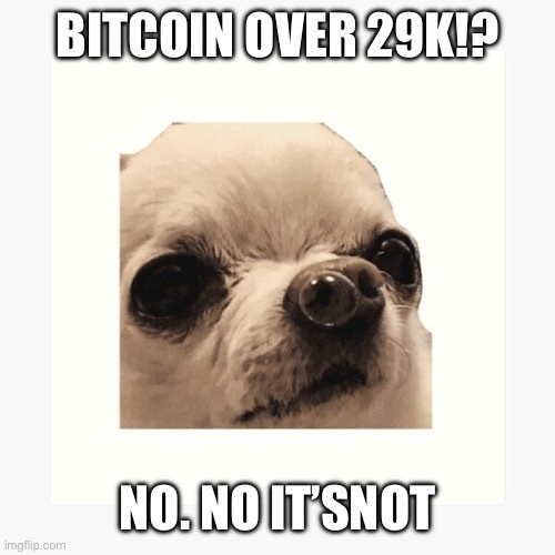 Afbeeldingslocatie: https://tweakers.net/i/aqJyD2BSNqYMdAAjmKRLNEB85Mk=/full-fit-in/4920x3264/filters:max_bytes(3145728):no_upscale():strip_icc():fill(white):strip_exif()/f/image/zptyLbI5f3gOSQ3yWEDYUC5Q.jpg?f=user_large