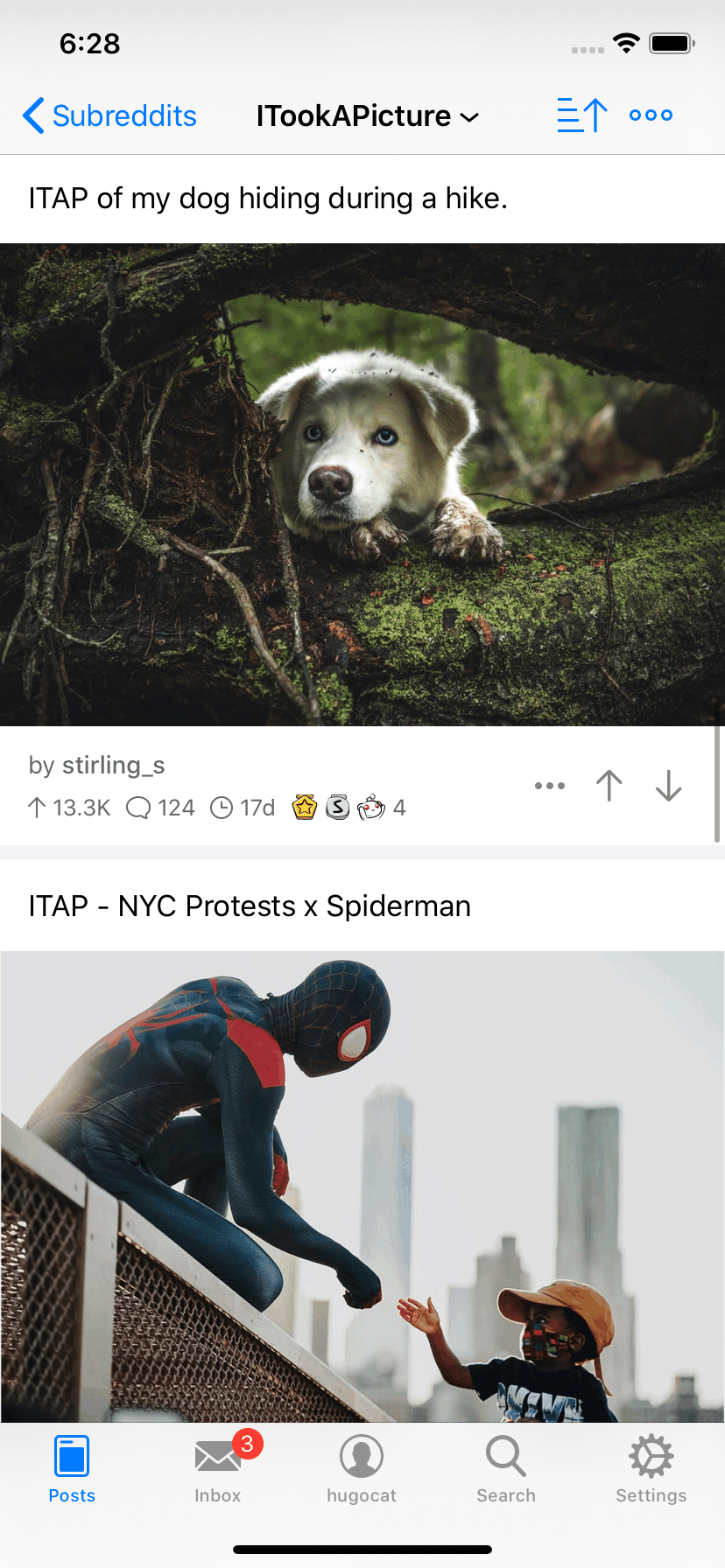 Apollo Reddit