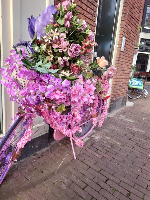 Afbeeldingslocatie: https://tweakers.net/i/aqklIoDUVvfjdehETVWWxz2wAls=/x800/filters:strip_icc():strip_exif()/f/image/QZfr0cD4LW9n7M4cXwDSvBIN.jpg?f=fotoalbum_large