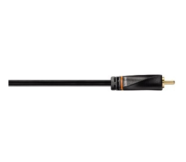 Avinity 5m RCA