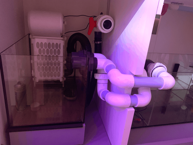 Afbeeldingslocatie: https://tweakers.net/i/aw1mY-SIDwgCmOZzLklORQJDOIU=/800x/filters:strip_exif()/f/image/kZjTEe0ctm4FvMKoUHB7OAMQ.png?f=fotoalbum_large