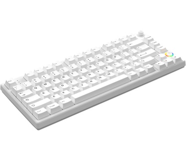 Helloganss HelloG HS75T Wh Gat Yellow RGB WL US