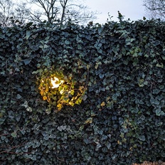 Afbeeldingslocatie: https://tweakers.net/i/b1cBujI66pqmuV0uibLRfnefBUc=/232x232/filters:strip_icc():strip_exif()/f/image/vTOq8kWyaVxTlRAH9lIcJUOb.jpg?f=fotoalbum_tile