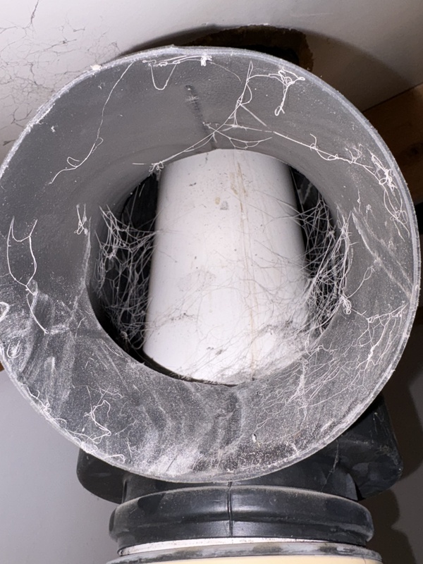 Afbeeldingslocatie: https://tweakers.net/i/b3iRD433KBI835_yiREfeAdeAqw=/x800/filters:strip_icc():strip_exif()/f/image/r6TyzuuGi4xpoXCU4SFh56id.jpg?f=fotoalbum_large