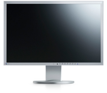 Eizo Flexscan EcoView EV2416W (EV2416WFS3) Grijs