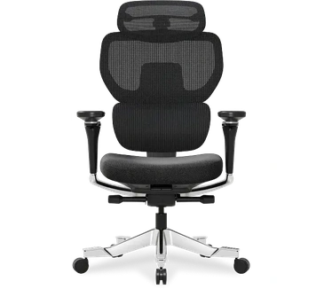 FlexiSpot Ergonomische bureaustoel C7 Morpher, Schuim, geen voetensteun, M