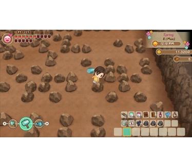 Story of Seasons: Friends of Mineral Town, Switch