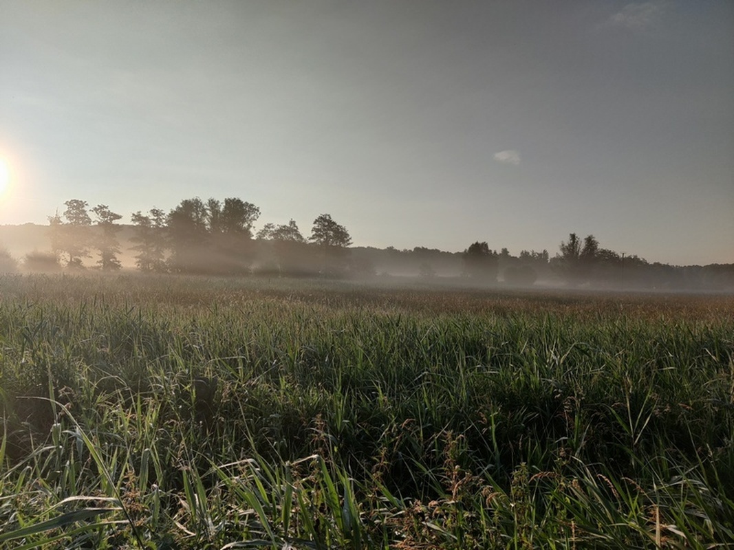 Afbeeldingslocatie: https://tweakers.net/i/b7IqEHxdPWxRle7m-hNVPXmi8DA=/full-fit-in/4920x3264/filters:max_bytes(3145728):no_upscale():strip_icc():fill(white):strip_exif()/f/image/1vErsYXSXZA8kMtju676K8Ef.jpg?f=user_large