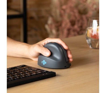 R-Go Tools Verticale muis R-Go HE Basic, ergonomische muis, medium (handlengte 165-185mm), linkshandig, Bluetooth