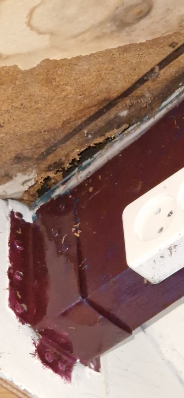 Afbeeldingslocatie: https://tweakers.net/i/bBWRgfjFP_nrYLuTGMDoQqiEvqw=/x800/filters:strip_icc():strip_exif()/f/image/PakVgIyAp2yVptN5VdmaMwlC.jpg?f=fotoalbum_large