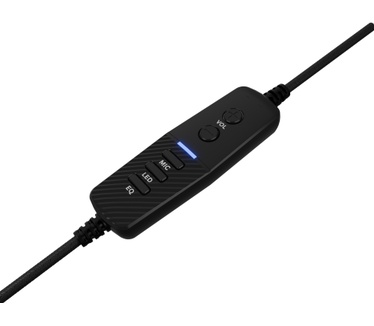 Genesis Neon 764