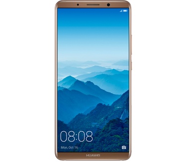 Huawei Mate 10 Pro dual sim Bruin