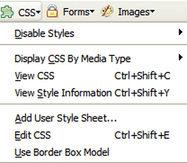 Web Developer Extension