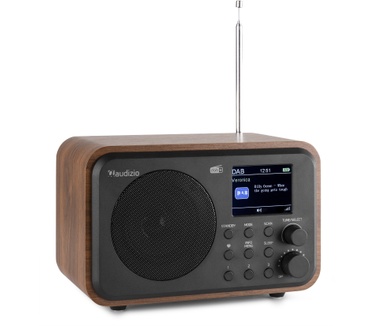 Audizio Milan