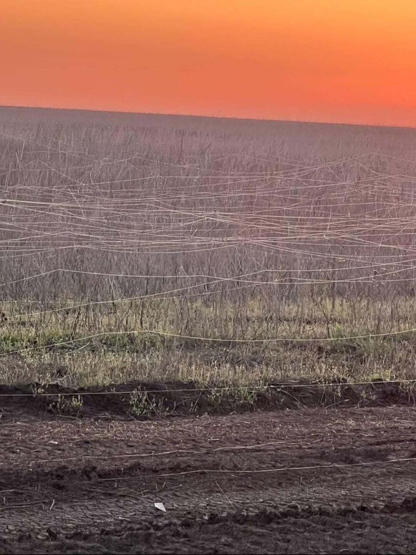 Afbeeldingslocatie: https://tweakers.net/i/bCzdxhjpR14tQ7tp5lXvAeYNL-c=/x800/filters:strip_icc():strip_exif()/f/image/B9qFxyaV3qEvJeH0HZTpiNu6.jpg?f=fotoalbum_large