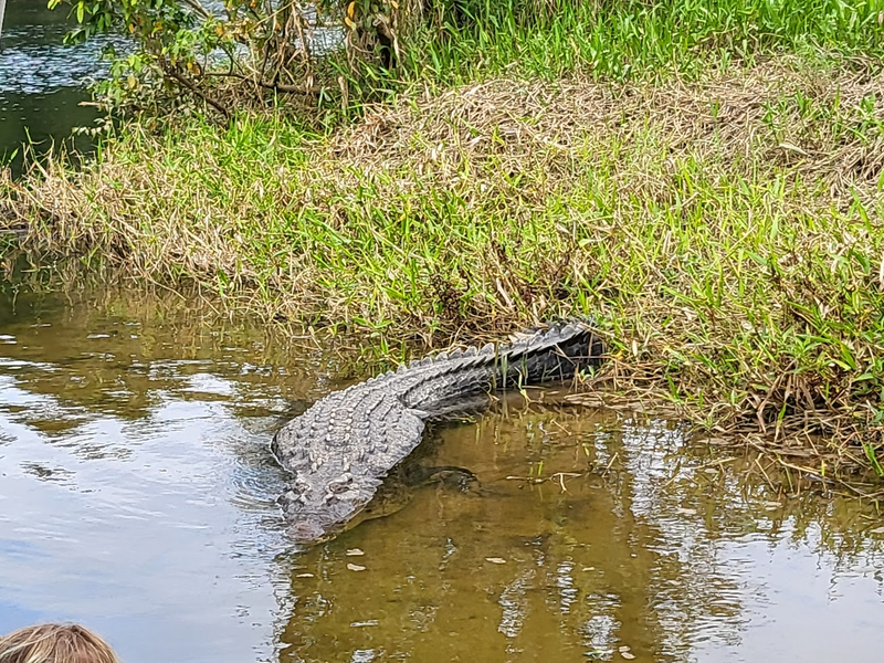 Afbeeldingslocatie: https://tweakers.net/i/bFl0wQnscK4jrbZ18t4k8-HhDkU=/800x/filters:strip_exif()/f/image/0WrZg9Oc3HjjBIEIRK05xezB.png?f=fotoalbum_large