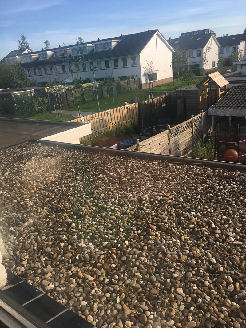 Afbeeldingslocatie: https://tweakers.net/i/bFsaktx_b926S5D4qhFIpzkD4lU=/800x/filters:strip_icc():strip_exif()/f/image/qSPJwZiHvzT0nx6fbxhP3Aap.jpg?f=fotoalbum_large