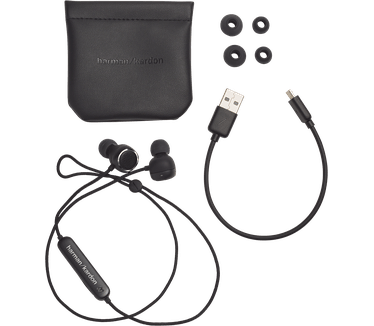 Harman Kardon FLY BT