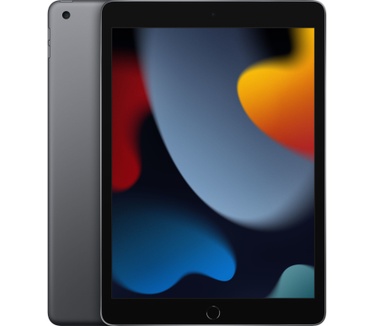 Apple iPad (2021) Wi-Fi 256GB Grijs