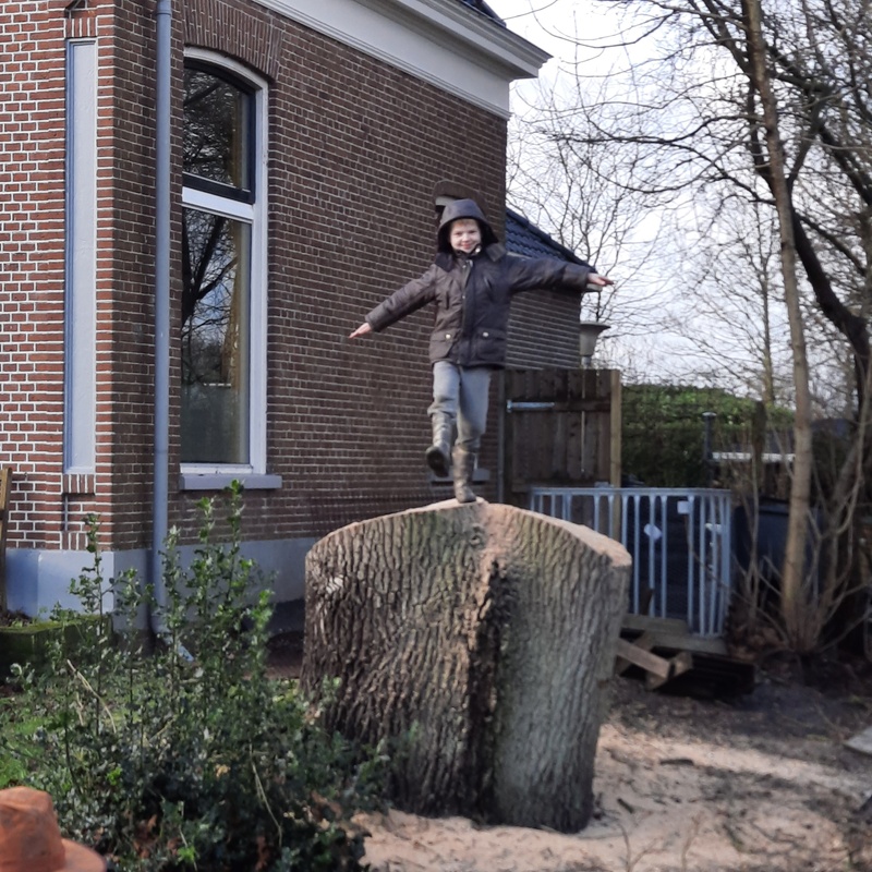 Afbeeldingslocatie: https://tweakers.net/i/bIVSy9vi0CRvHxkhL2umMp0jV74=/800x/filters:strip_icc():strip_exif()/f/image/acHSMenOYagAG57cIkDnevjJ.jpg?f=fotoalbum_large