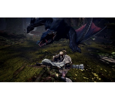 Monster Hunter World: Iceborne Master Edition, PS4