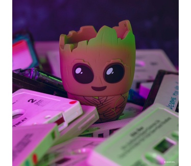 Bitty Boomers Groot