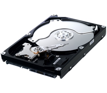 Samsung Spinpoint F1 RAID HE252HJ, 250GB