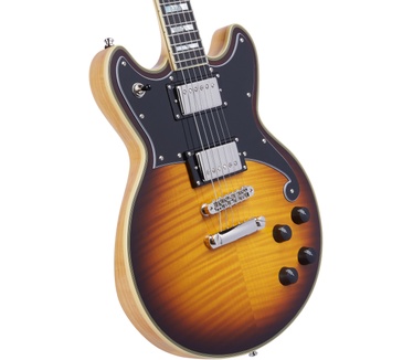 D'Angelico Guitars DELUXE BRIGHTON