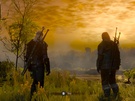 The Witcher 3: Wild Hunt Switch