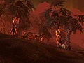 World of Warcraft: Wrath of the Lich King - Sholazar Basin