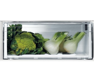 Whirlpool WFNF 81E OX 1
