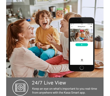 TP-Link Kasa Spot