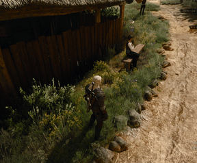 The Witcher 3 met raytracing