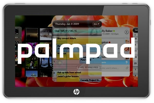Palmpad