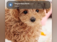 Aanpassen van het lockscreen in OneUI 5.1