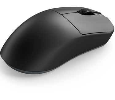 Dark Project DPP_Novus_BG