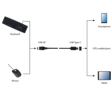 Gembird A-OTG-CMAF3-01 Zwart