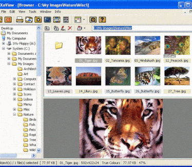 XnView screenshot (resized)