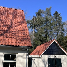 Afbeeldingslocatie: https://tweakers.net/i/bdrdtfs3zB55UqG812kogLSVB6Y=/232x232/filters:strip_icc():strip_exif()/f/image/fwQrE0Cp83iLOYnooqptiBrV.jpg?f=fotoalbum_tile