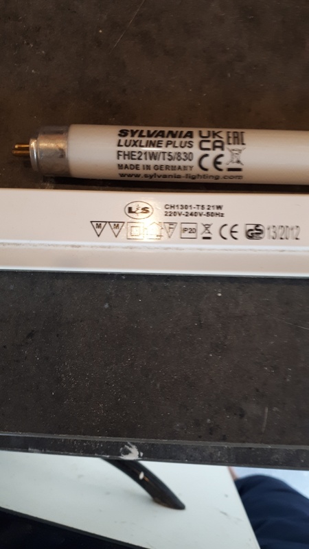 Afbeeldingslocatie: https://tweakers.net/i/be-xTgAooj_WfWxzSwMEh533nD8=/x800/filters:strip_icc():strip_exif()/f/image/LJcVpixnJXtECeTCNe2bESgf.jpg?f=fotoalbum_large