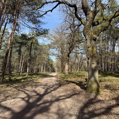 Afbeeldingslocatie: https://tweakers.net/i/bhK9LN4wZRCwVGQxcg6iOF1_jwQ=/232x232/filters:strip_icc():strip_exif()/f/image/3kB0eMRBSx6uOeThbMhxWidK.jpg?f=fotoalbum_tile